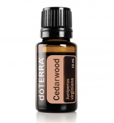 Cédrové drevo (Cedarwood) 15 ml